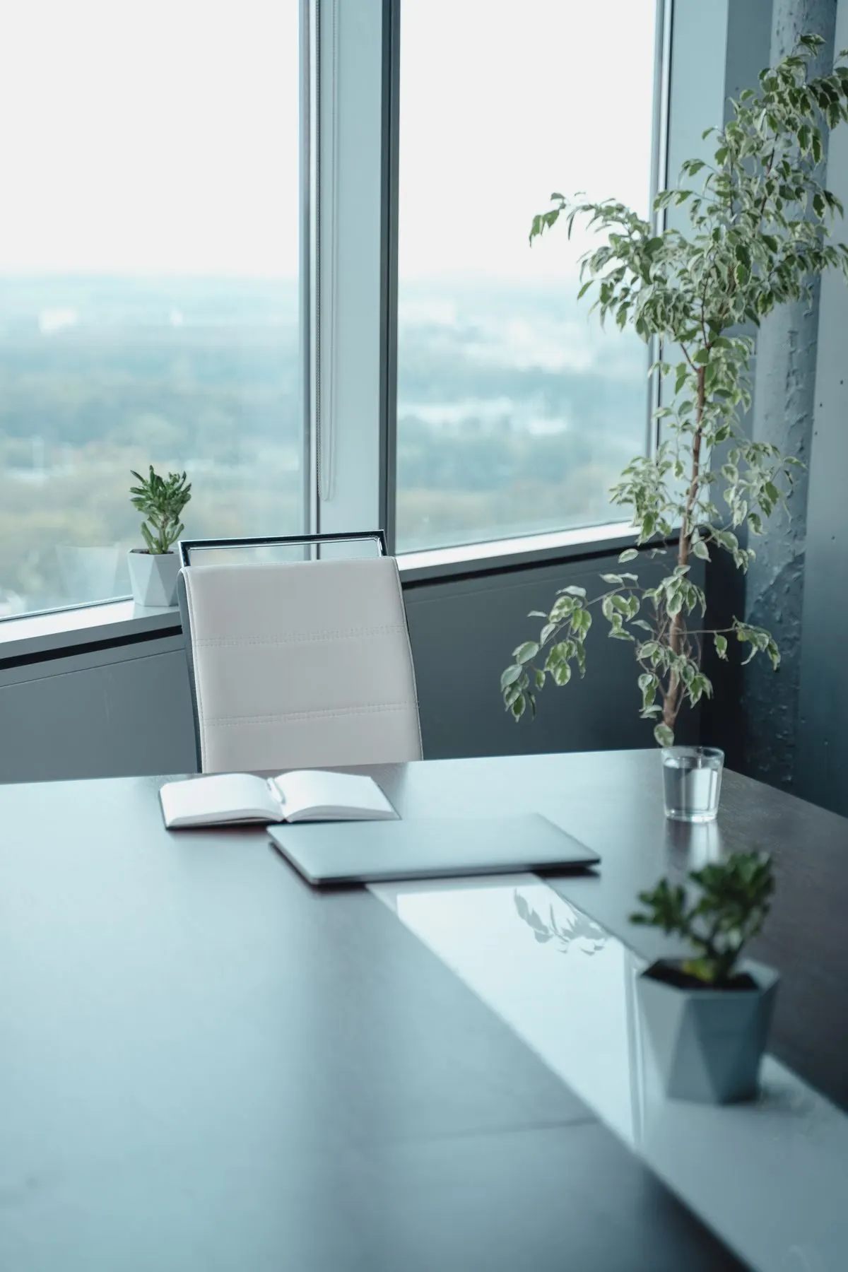 Desk with an open notebook and green plants beside a large window