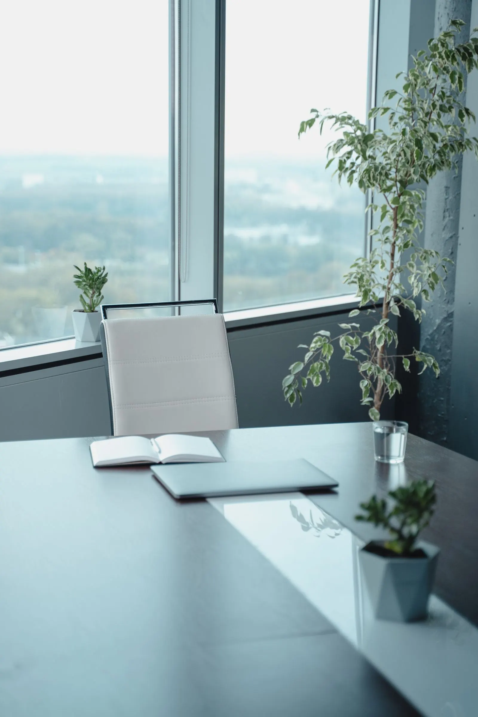 Desk with an open notebook and green plants beside a large window