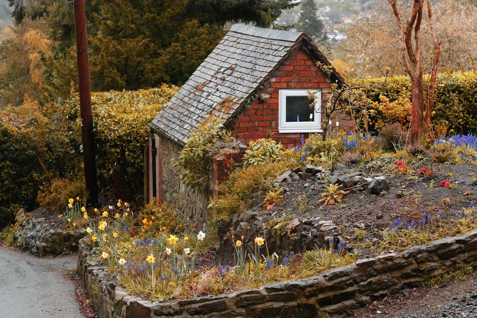 Brick cottage in England with spring flowers in the front garden